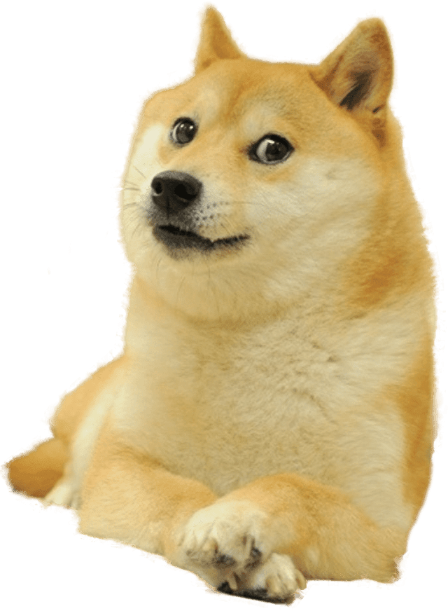 doge